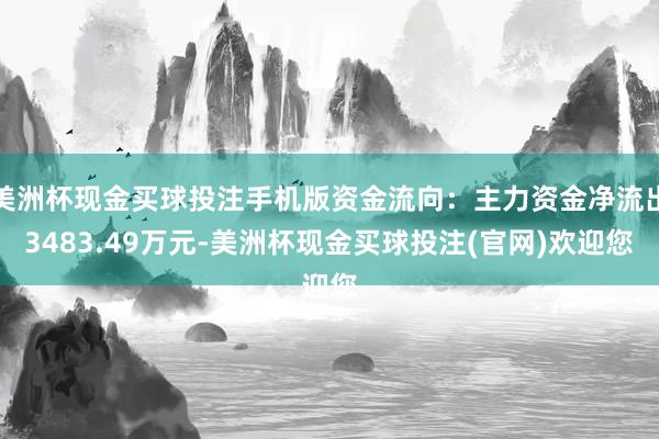 美洲杯现金买球投注手机版资金流向：主力资金净流出3483.49万元-美洲杯现金买球投注(官网)欢迎您