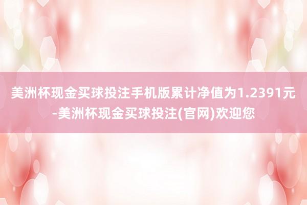 美洲杯现金买球投注手机版累计净值为1.2391元-美洲杯现金买球投注(官网)欢迎您