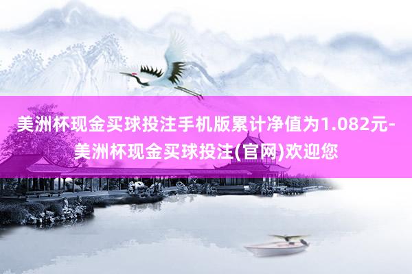 美洲杯现金买球投注手机版累计净值为1.082元-美洲杯现金买球投注(官网)欢迎您