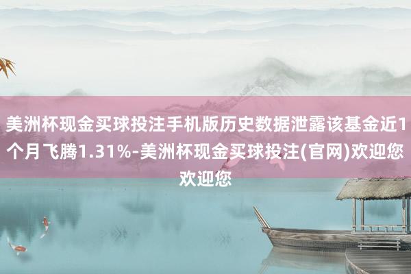美洲杯现金买球投注手机版历史数据泄露该基金近1个月飞腾1.31%-美洲杯现金买球投注(官网)欢迎您