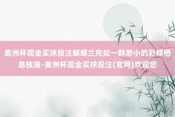 美洲杯现金买球投注蝴蝶兰宛如一群渺小的彩蝶栖息枝端-美洲杯现金买球投注(官网)欢迎您