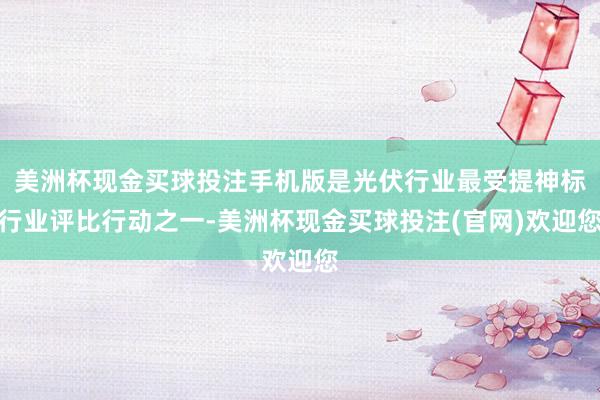 美洲杯现金买球投注手机版是光伏行业最受提神标行业评比行动之一-美洲杯现金买球投注(官网)欢迎您