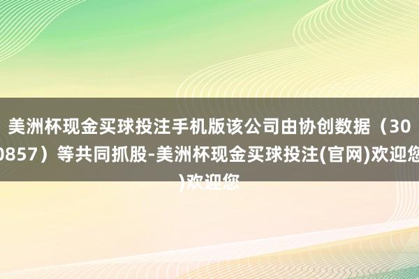 美洲杯现金买球投注手机版该公司由协创数据（300857）等共同抓股-美洲杯现金买球投注(官网)欢迎您