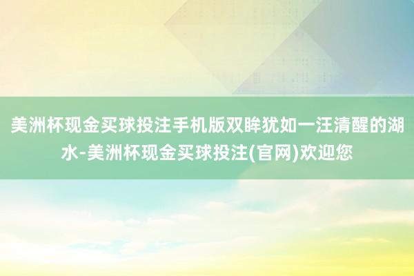 美洲杯现金买球投注手机版双眸犹如一汪清醒的湖水-美洲杯现金买球投注(官网)欢迎您