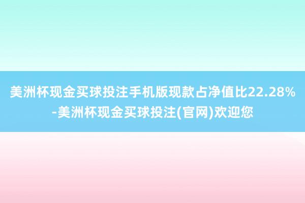 美洲杯现金买球投注手机版现款占净值比22.28%-美洲杯现金买球投注(官网)欢迎您