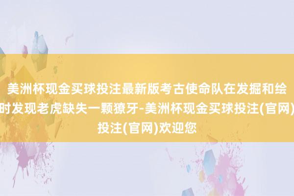 美洲杯现金买球投注最新版考古使命队在发掘和绘制拍照时发现老虎缺失一颗獠牙-美洲杯现金买球投注(官网)欢迎您