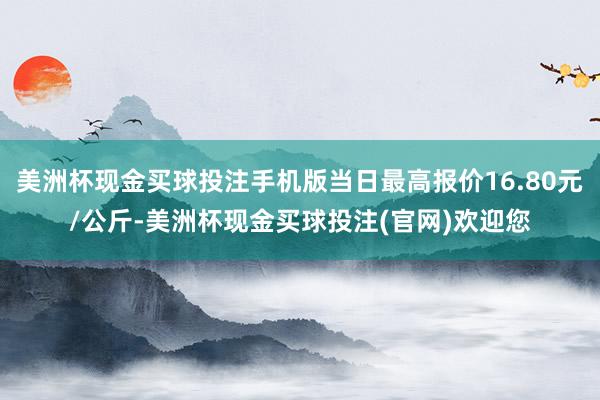 美洲杯现金买球投注手机版当日最高报价16.80元/公斤-美洲杯现金买球投注(官网)欢迎您