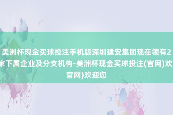 美洲杯现金买球投注手机版深圳建安集团现在领有20余家下属企业及分支机构-美洲杯现金买球投注(官网)欢迎您
