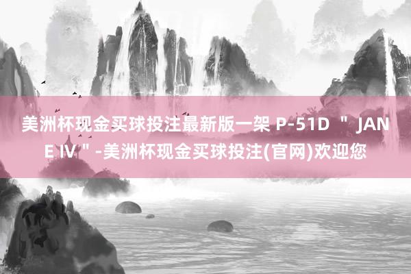 美洲杯现金买球投注最新版一架 P-51D ＂ JANE Ⅳ＂-美洲杯现金买球投注(官网)欢迎您