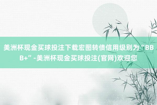 美洲杯现金买球投注下载宏图转债信用级别为“BBB+”-美洲杯现金买球投注(官网)欢迎您