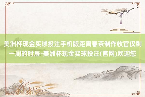 美洲杯现金买球投注手机版距离春茶制作收官仅剩一周的时辰-美洲杯现金买球投注(官网)欢迎您