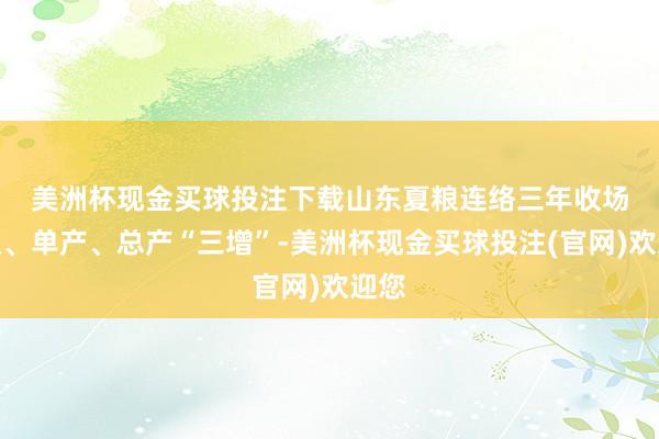 美洲杯现金买球投注下载　　山东夏粮连络三年收场面积、单产、总产“三增”-美洲杯现金买球投注(官网)欢迎您