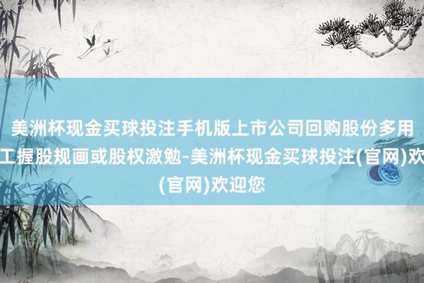美洲杯现金买球投注手机版上市公司回购股份多用于职工握股规画或股权激勉-美洲杯现金买球投注(官网)欢迎您