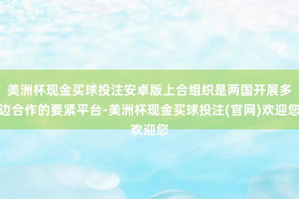 美洲杯现金买球投注安卓版上合组织是两国开展多边合作的要紧平台-美洲杯现金买球投注(官网)欢迎您
