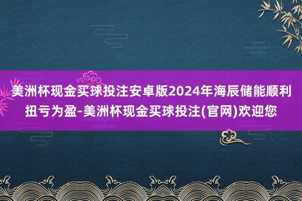 美洲杯现金买球投注安卓版2024年海辰储能顺利扭亏为盈-美洲杯现金买球投注(官网)欢迎您